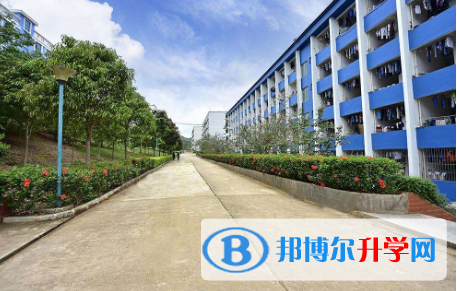 深圳深美國際學校2023年報名條件、招生要求、招生對象