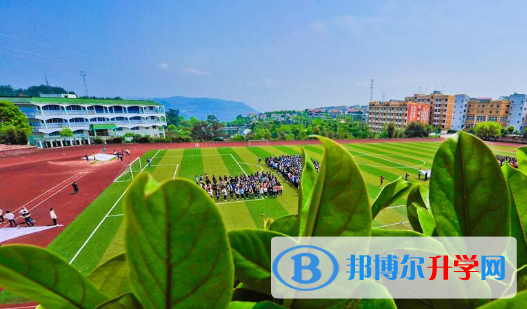 深圳深美國際學校網站網址 