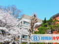 深圳曦城協同國際學校2023年招生辦聯系電話