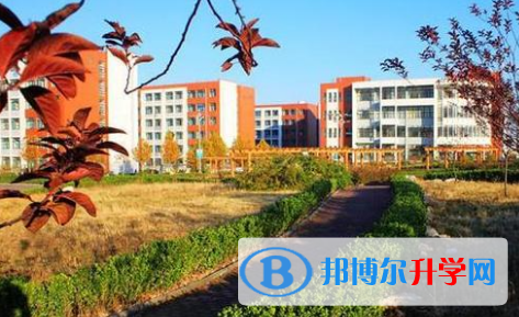 深圳曦城協(xié)同國(guó)際學(xué)校怎么樣、好不好