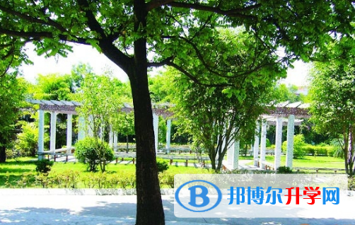 城市綠洲國際學(xué)校2023年報名條件、招生要求、招生對象