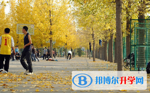 城市綠洲國際學校2023年招生辦聯系電話