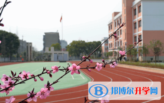 深圳觀瀾湖國際學校怎么樣、好不好