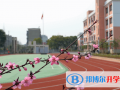 深圳觀瀾湖國際學(xué)校怎么樣、好不好