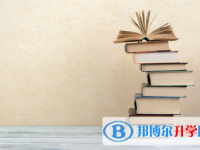 2020年六盤水近年中考重點線