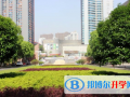 深圳哈博學校2023年招生簡章