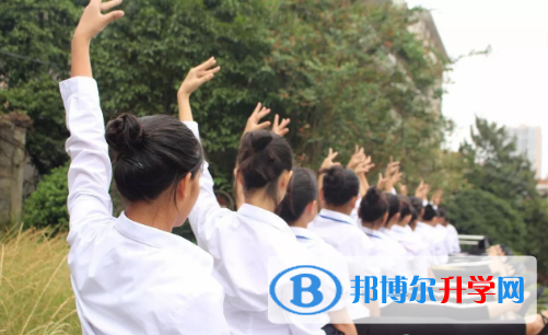 深圳哈博學校2023年報名條件、招生要求、招生對象