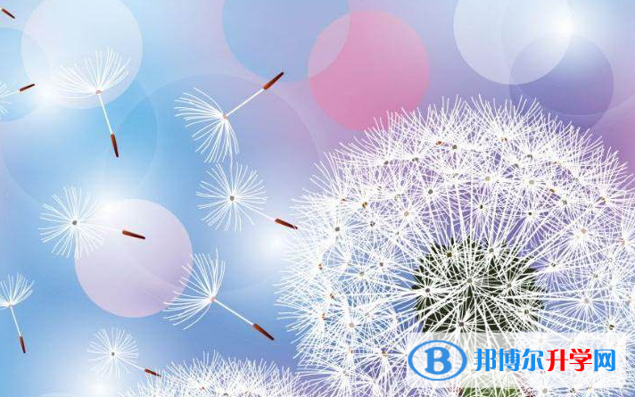  2020年六盤水中考考號(hào)查詢