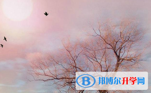 2020年六盤水中考成績一般讀什么學校