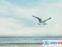 2020年六盤水中考成績查詢網址