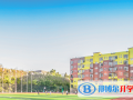 華南師范大學(xué)附屬外國語學(xué)校2023年招生簡章