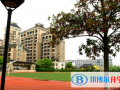 杭州綠城育華學(xué)校國際實(shí)驗(yàn)班2023年報(bào)名條件、招生要求、招生對(duì)象