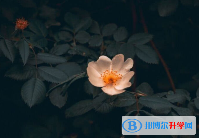  2020銅仁中考查詢成績(jī)