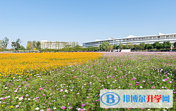 南京中醫藥大學國際教育中心2020年學費、收費多少