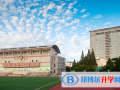 南京外國語學(xué)校2023年學(xué)費(fèi)、收費(fèi)多少