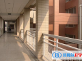 南京外國語學校2023年報名條件、招生要求、招生對象