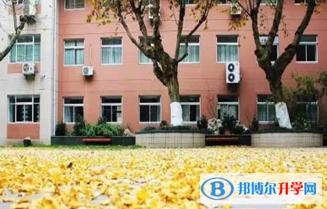 南京外國語學校怎么樣、好不好
