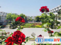 南京師范大學附屬實驗學校國際部網站網址