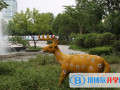 連云港外國語學校2023年入學條件