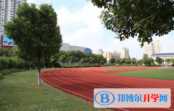青島MTI國際學校(ISQ)小學部2020年招生辦聯系電話