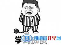 銅仁2020年中考查詢網址