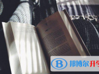 安順2020年中考錄取報名網