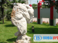蘇州外國語學校地址在哪里