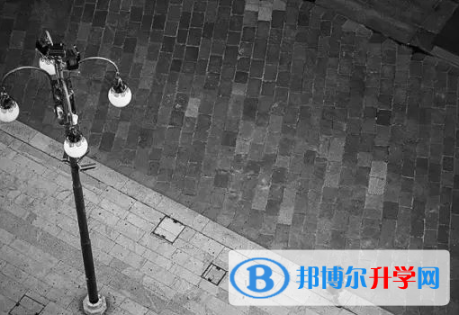 安順2020年中考統(tǒng)考成績(jī)