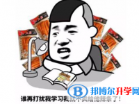 2020年安順中考網絡應用服務平臺