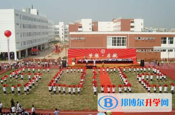 武漢為明國際學校小學部2020年學費、收費多少