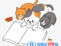 2020安順中考招生考試查詢系統