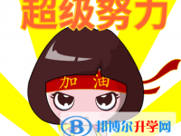 2020安順中考志愿官網