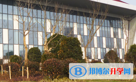 南通思德福國際學校小學部網站網址 