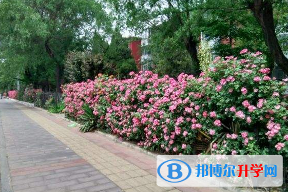 南通士通國際學校初中部怎么樣、好不好
