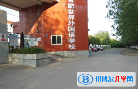 合肥世界外國語學校小學部2020年招生計劃
