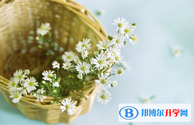2020安順中考重點線預(yù)測