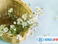 2020安順中考重點線預測