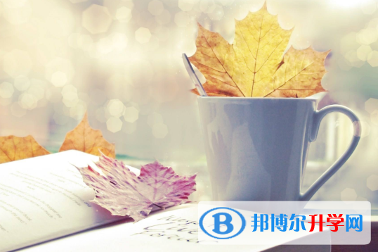  2020安順中考重點線是多少