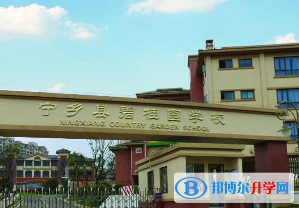 寧鄉碧桂園學校小學部2020年招生簡章