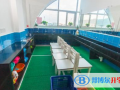 廈門康橋外國(guó)語(yǔ)小學(xué)2023年招生計(jì)劃