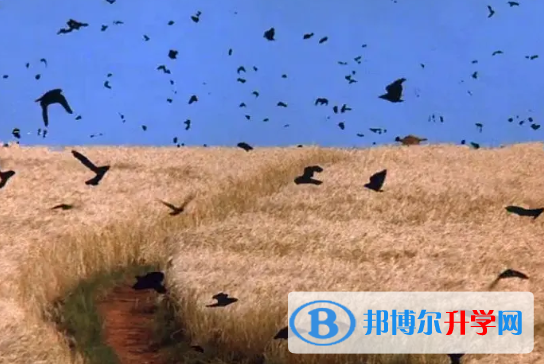  2020年黔西南中考注意事項(xiàng)