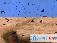 2020年黔西南中考注意事項