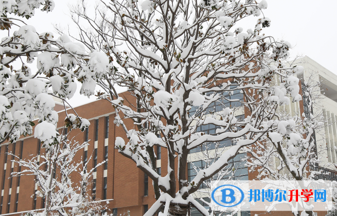 濟寧孔子國際學校小學部2020年報名條件、招生要求、招生對象