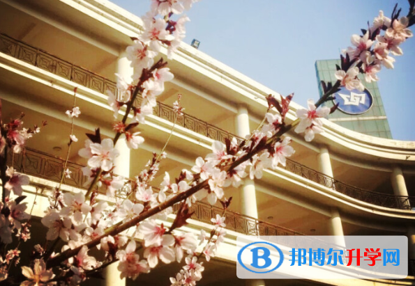 山西實驗中學(xué)國際部網(wǎng)站網(wǎng)址 
