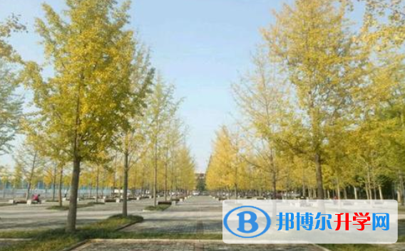 太原北辰雙語學校初中部2020年招生辦聯系電話