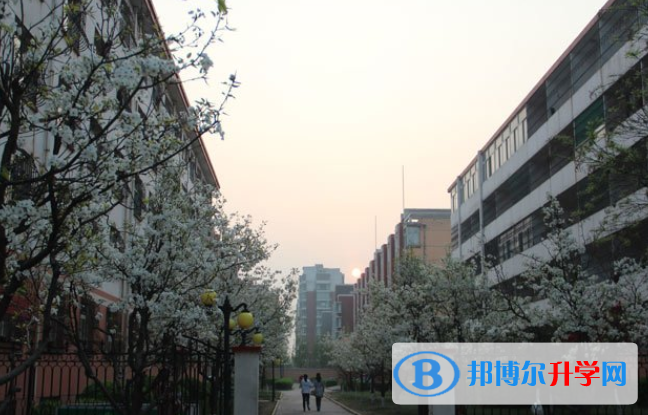 山西現代雙語學校小學部怎么樣、好不好
