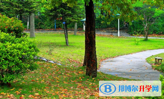安陽新坐標國際學校2020年報名條件、招生要求、招生對象