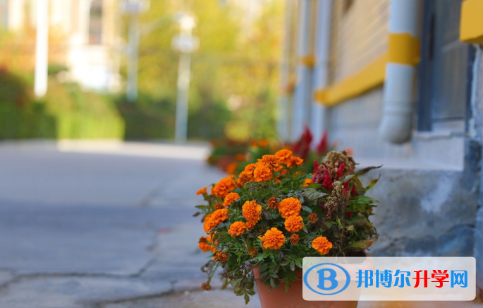 艾瑞德國際學校2020年招生辦聯系電話