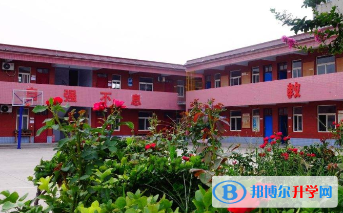 安陽新坐標國際學校小學部2020年招生簡章