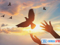 2020年曲靖查詢中考成績(jī)用名字可以嗎